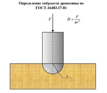 дер окна-145